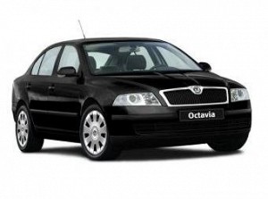 Skoda   Octavia