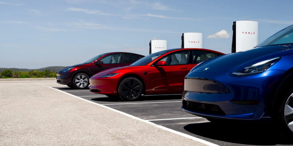 ������� ��� �����������: �� �������������� Tesla Model 3 � Model Y ���������� ����������� �����