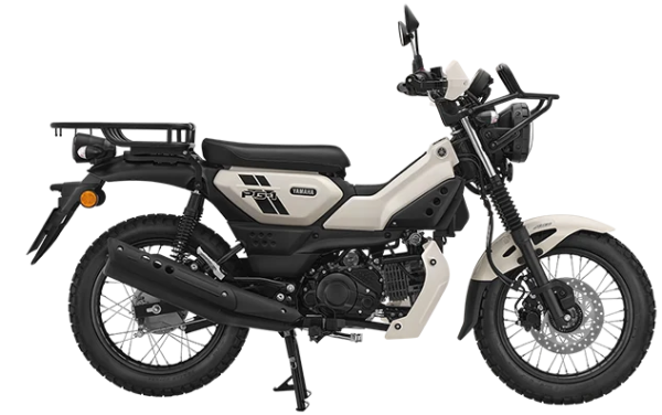 Yamaha PG-1 Special Edition 2026 ���� ��� ��������, 8 400 ���������