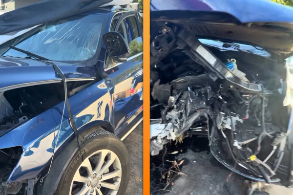 ������� �������� ����� �������� Audi �� 