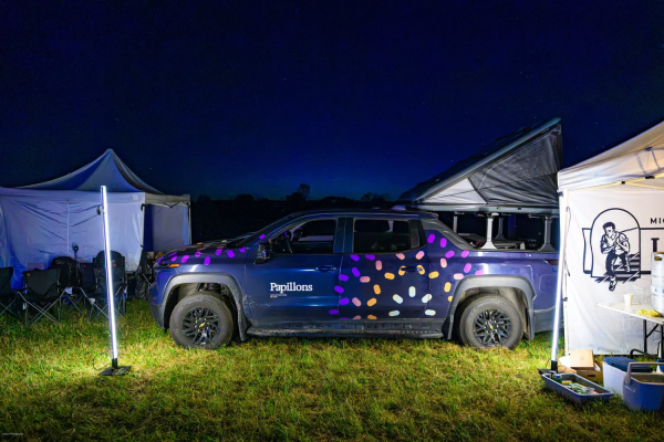 ���� �������������� Chevrolet �������� �������� ���� ���������� ���
