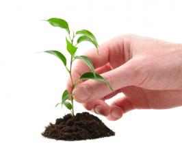 ������� �������� �������� �������� � Greensad