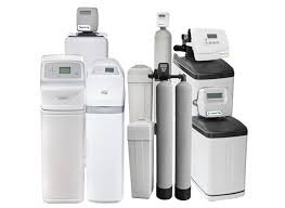 ������ ����