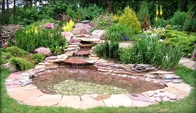 3 ������� �������� ����������� ������ � ����� �� ����� topiar.ua