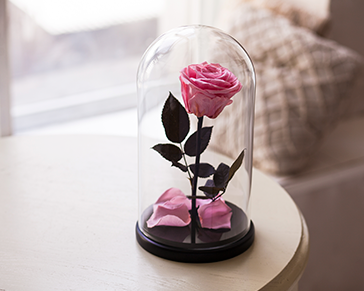 ����������� ���� � �����