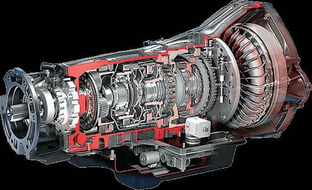 �� �������� ������ ����