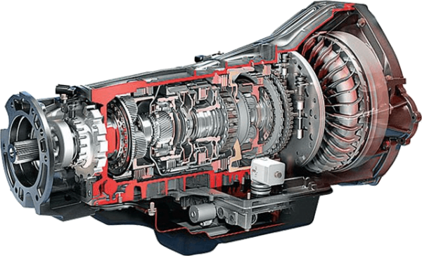 �� �������� ������ ����