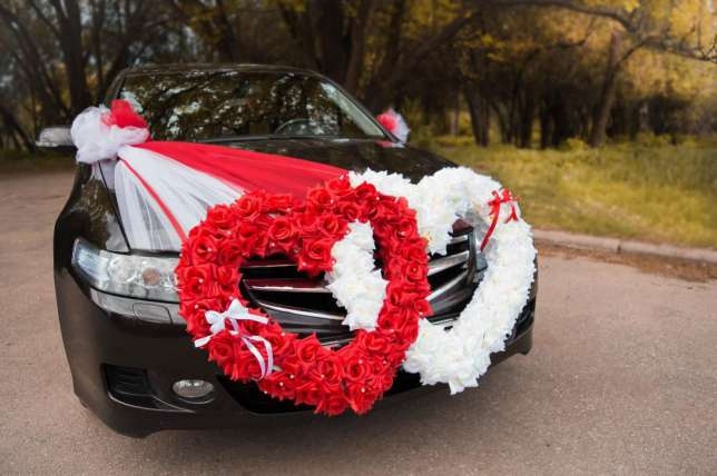 ������ ��������� ����