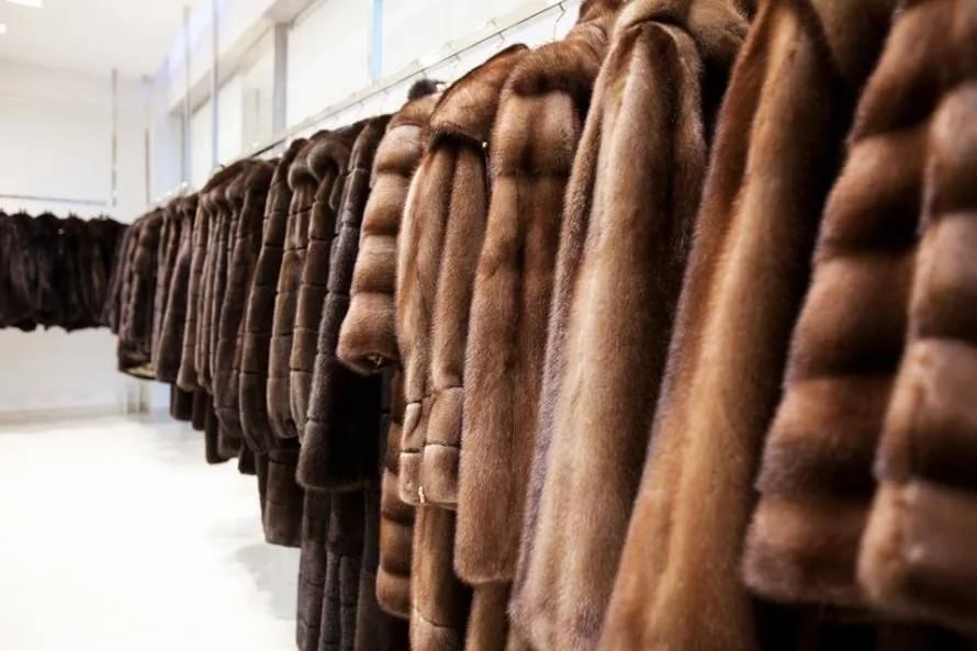 ������� ����������� ������ ������� ������� �� �������� ��������� �� ��������� ������ ��������-��������