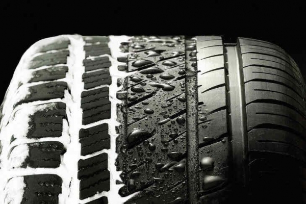 ������������� ����������� ����