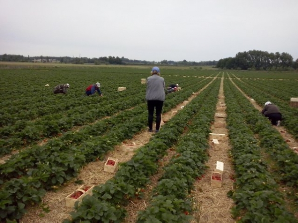 ������� ������ � ������