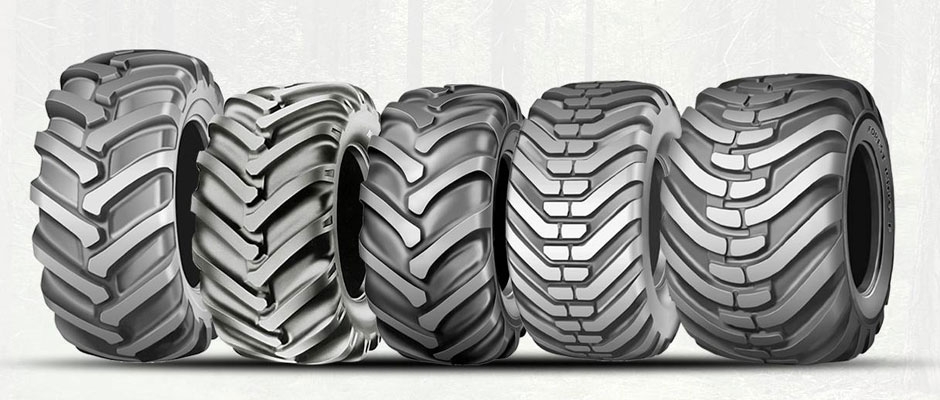 ���� ��� ������������� � ��������� �������������������� �������� �������