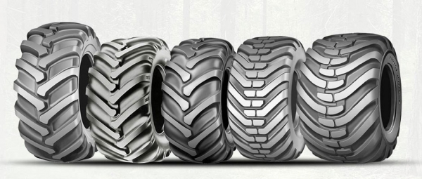 ���� ��� ������������� � ��������� �������������������� �������� �������