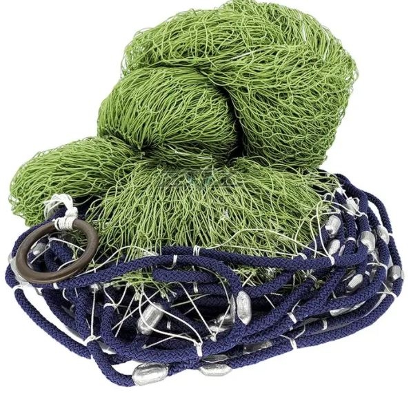 ����������� ���� �� ���������� ����