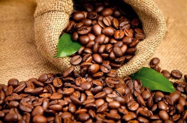 �������� ���� ��� ���������